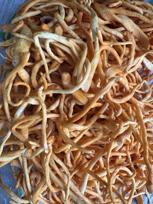 Кардицепс милитарис 100гр