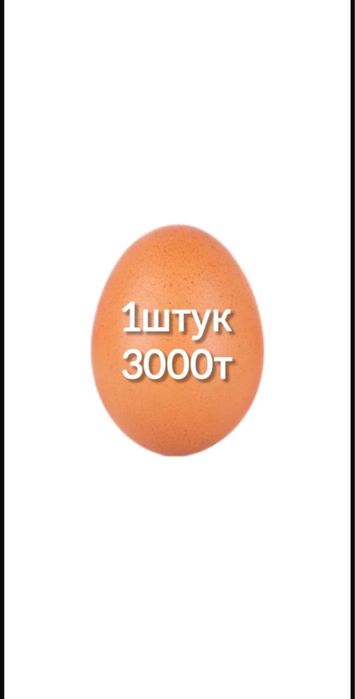 Брама Мрамор Далматинка