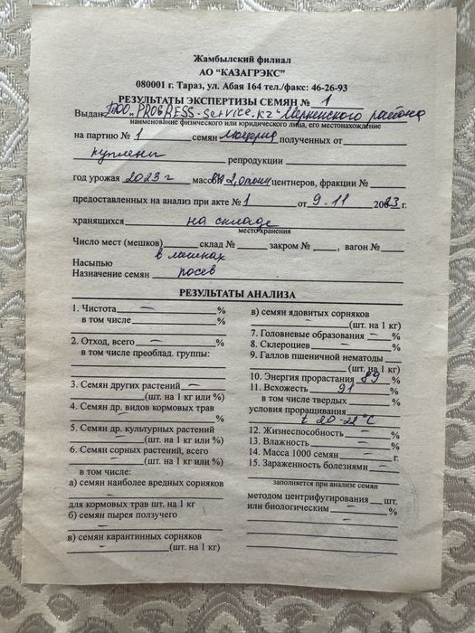 Семена люцерна СЕМИРЕЧНЫЙ сорт. Магниченный