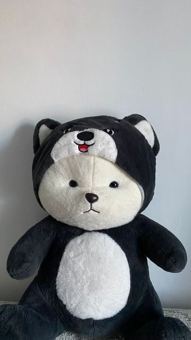 мишка с капюшоном