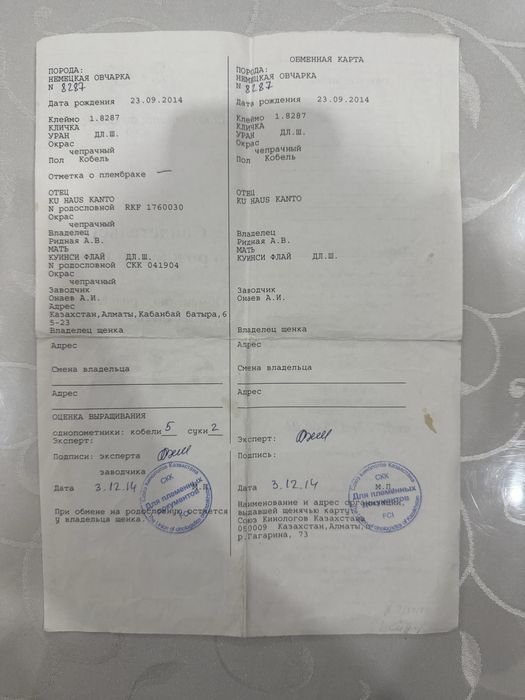 Немецкая овчарка