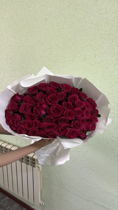 51 красные/розовые розы
