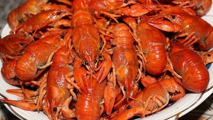 Живой рак, крабы, лобстеры