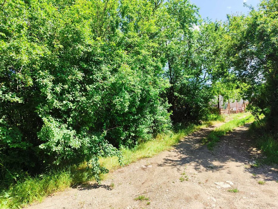 Парцел в Пряспа..