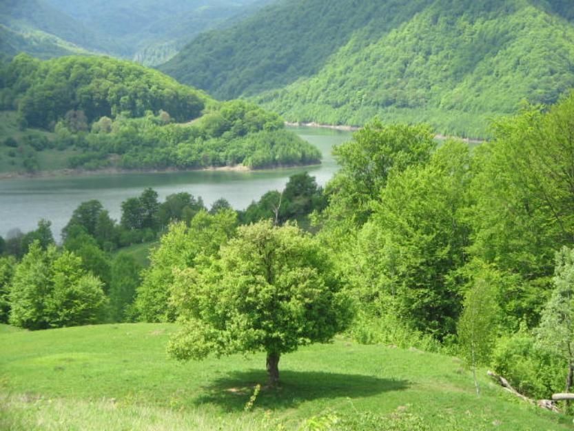 In fata ta e lacul, în jurul tău copacii și munții. Între ele poate fi cabana ta.Teren Vis a Vis de Lacul Siriu. Vedere la lac și munti Gura Siri