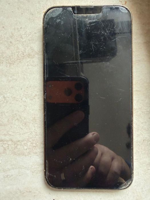 Iphone 13 pro max cu husa mobilfox