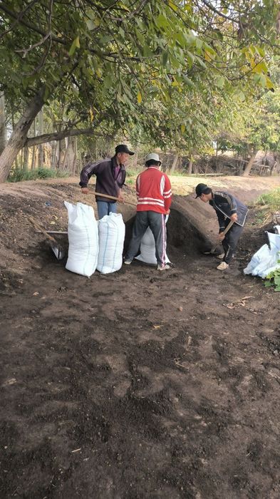 1 yilik Biyagomis óptim narxlarda