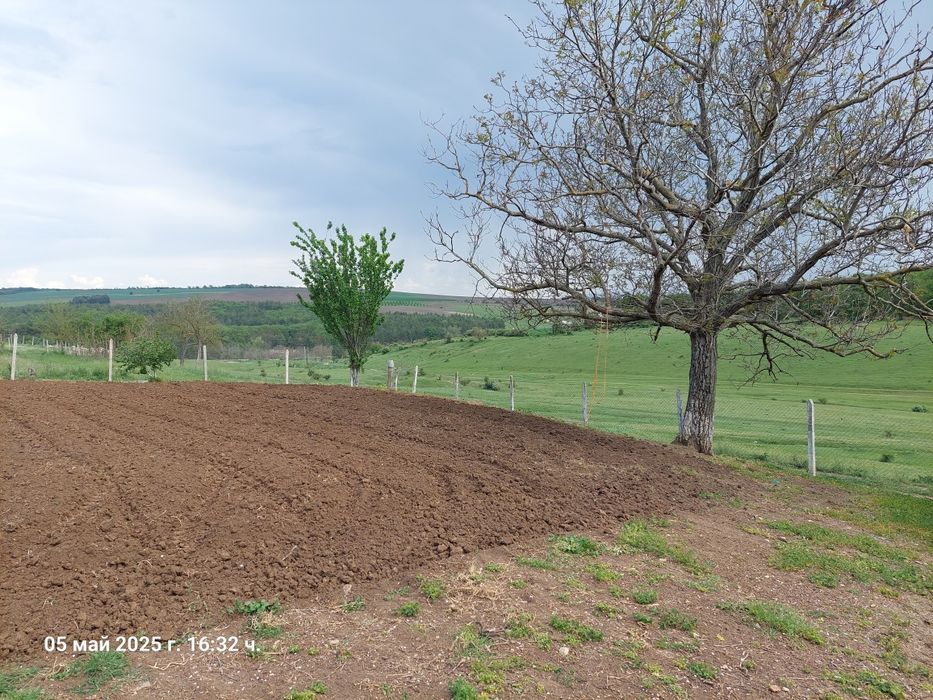 Продава се Къща в Лозница - 1 кв.м за 12750 €/кв.м - Снимка #3