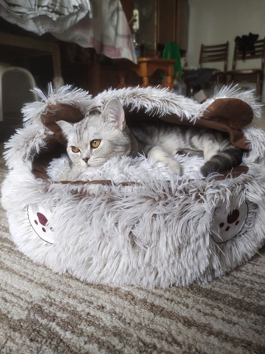 Лежанка для кошек