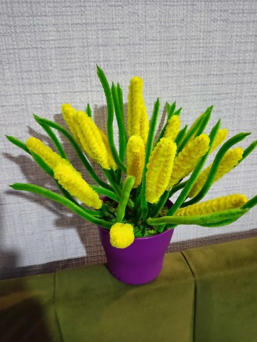 Продам цветы подарок