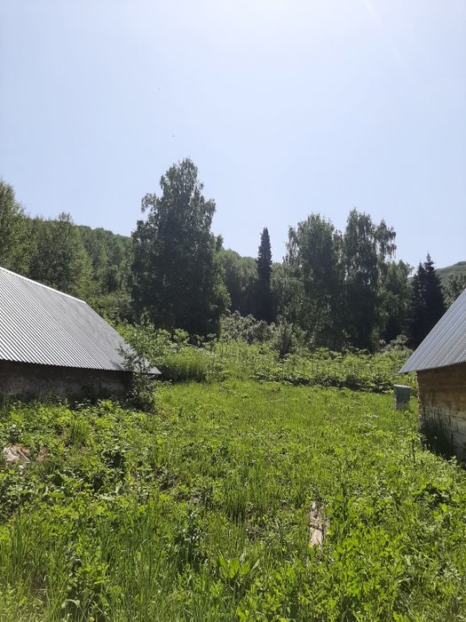 Продам пасеку в .