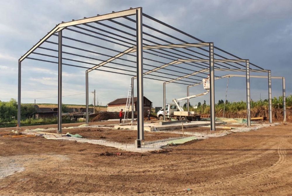 Vand hala metalica structura 10x20