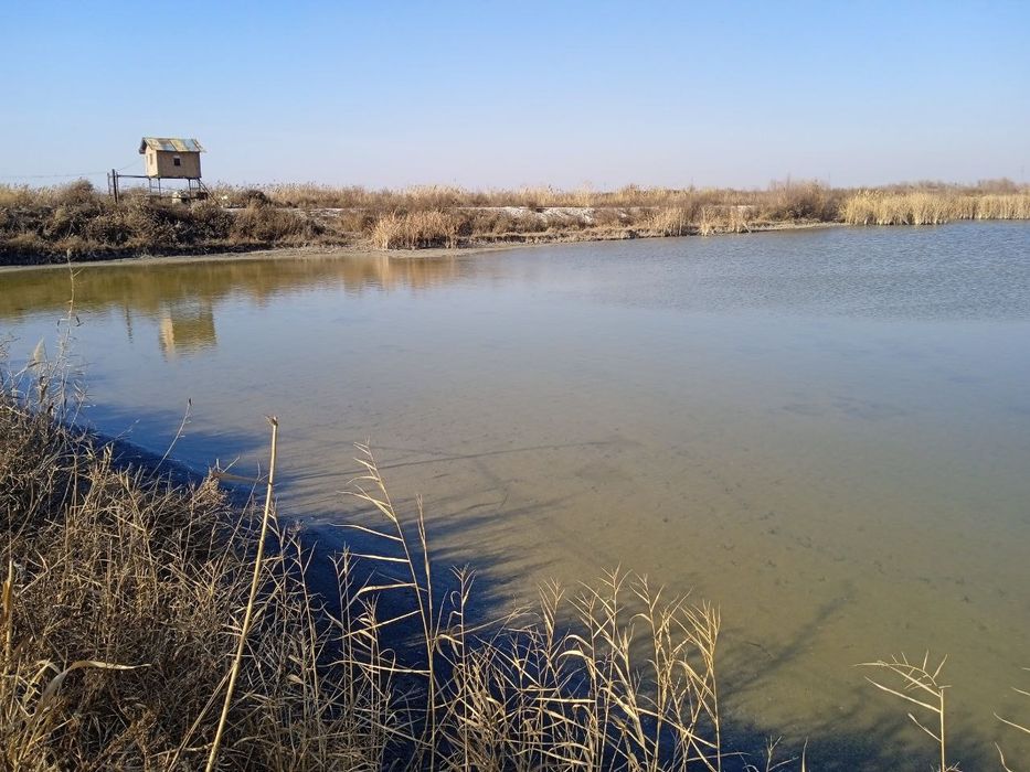 Баликхона сотилади