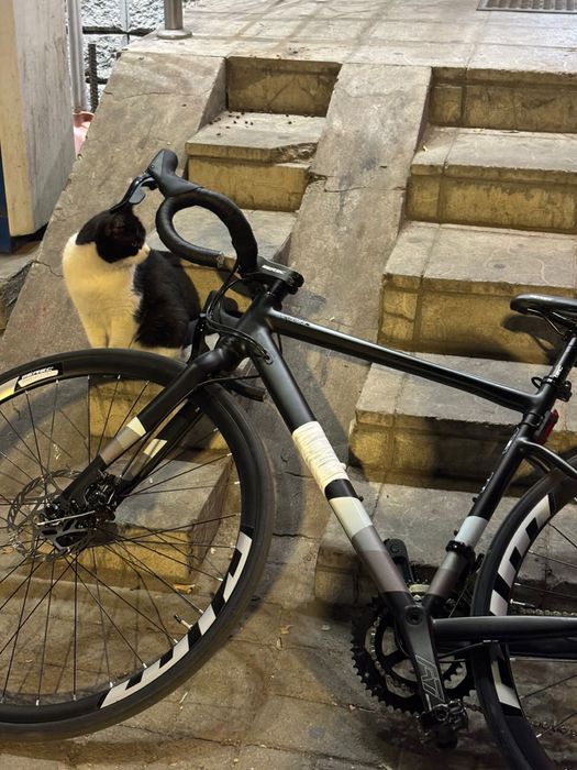 Шоссейный велосипед EREC xm 500