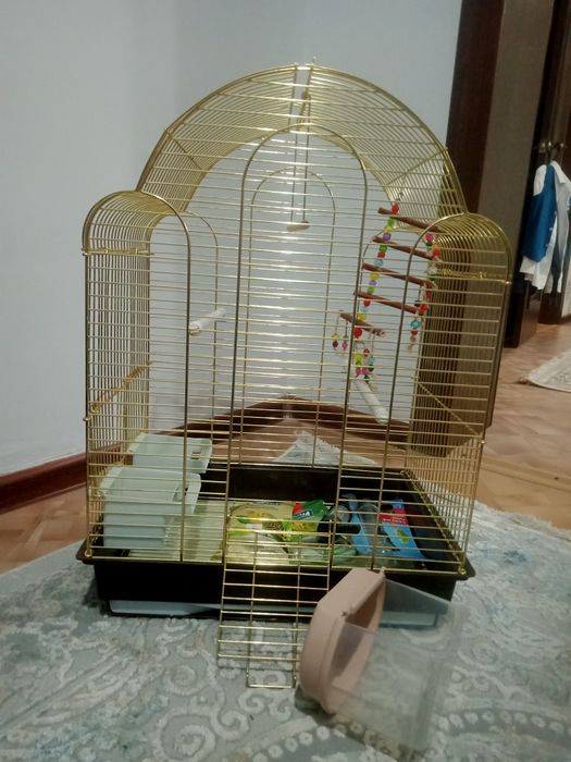 Клетка для папугая