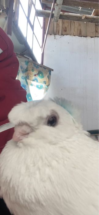 Молодеж летно игровых глубей!