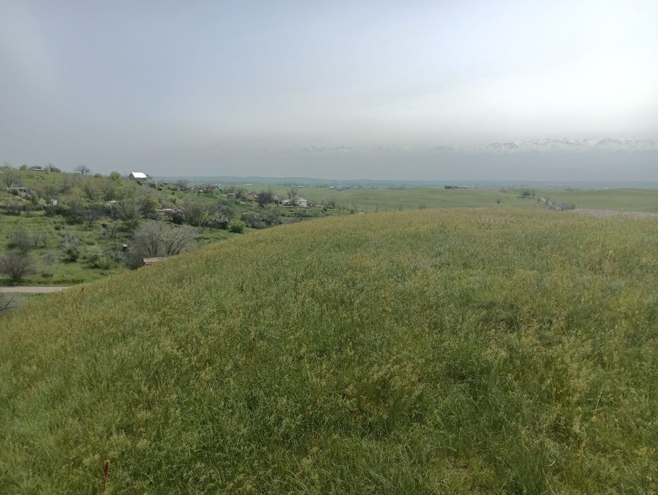 Продам участок в поселке Турар