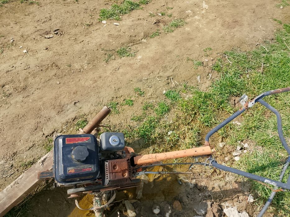 Әзірбайжан секс онлайн