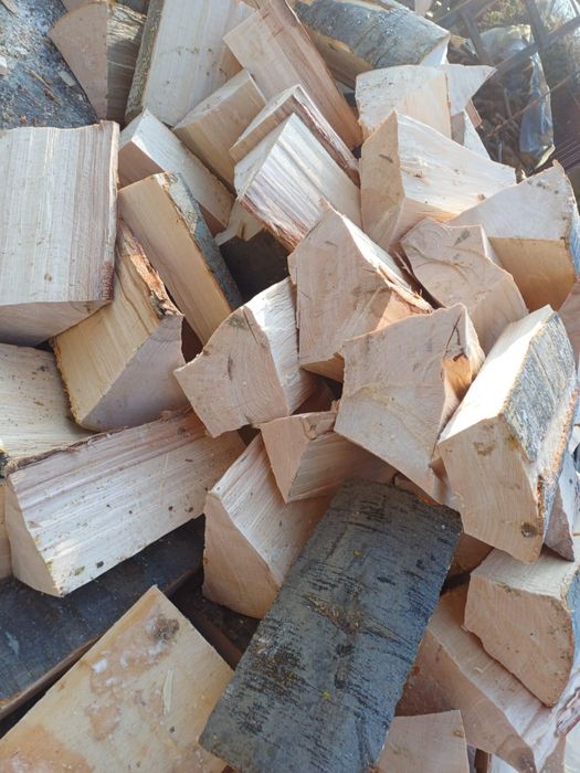 Lemne uscate și verzi esență tare Fag Carpen