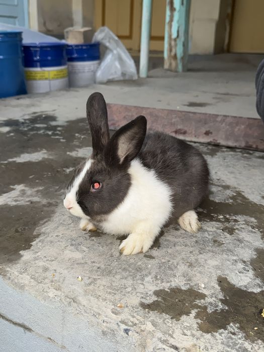 Donasi 180 ming 3 tasi 500 mingga beramiz