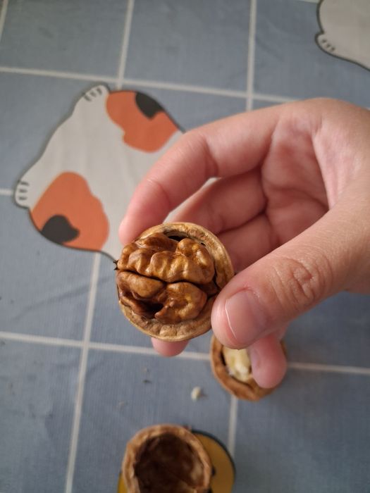 Продам грецкий орех