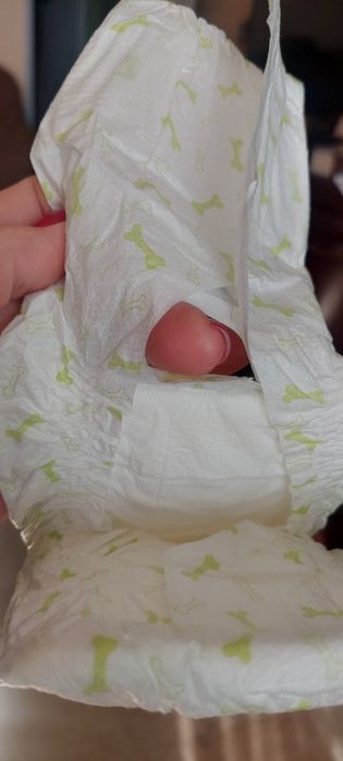 Подгузники для кошек и собак