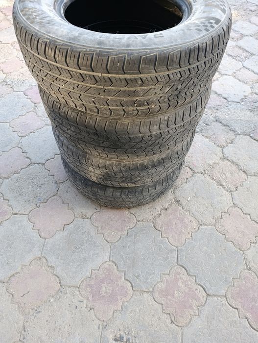 14 balon Cobalt uchun