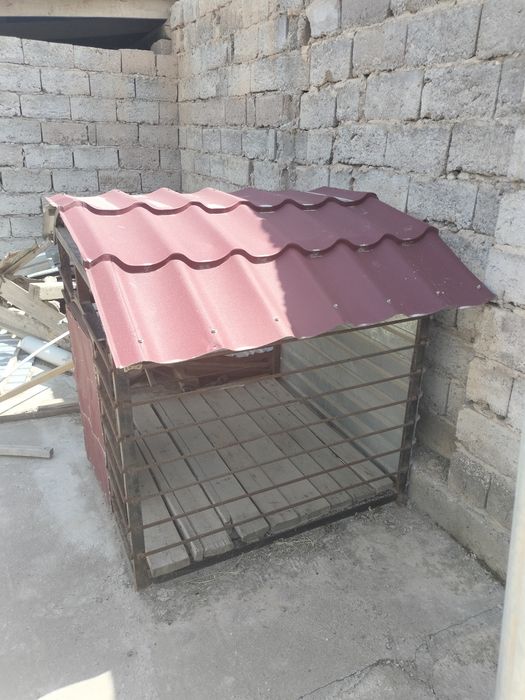 Иттин уйшиги сатылады