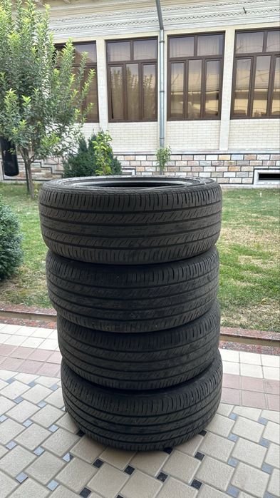 Byd champion balon komplekt