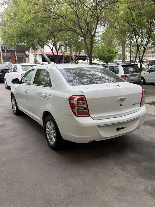 Cobalt LTZ Style 2024/2025