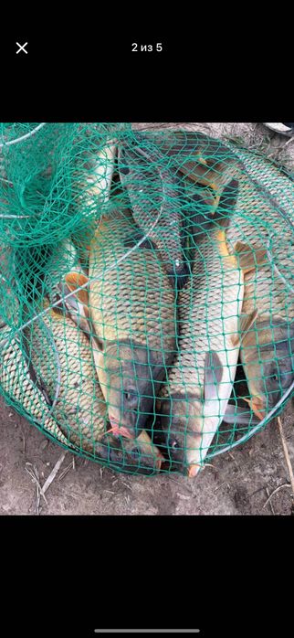 Рыбалка, проточная вода. Огромные пруды