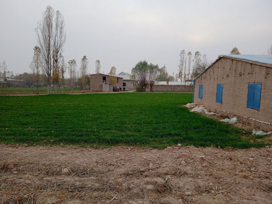 Hovli sotiladi srochni