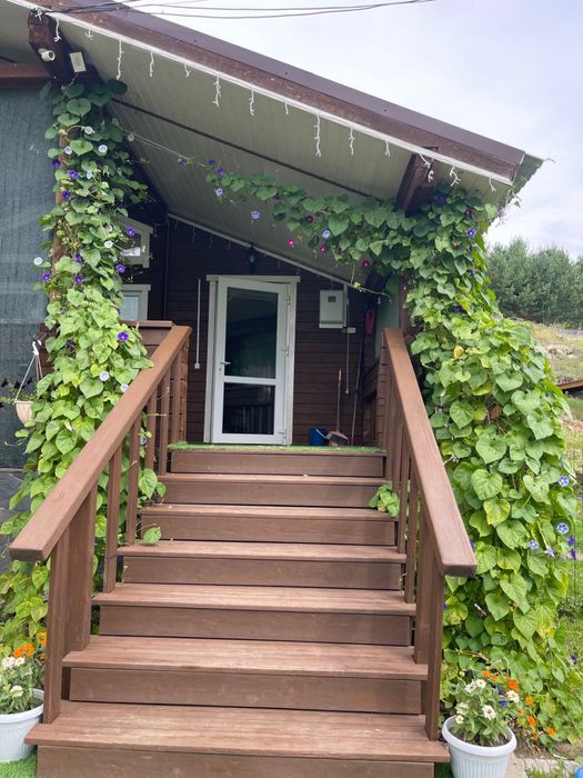 Зимний Дом. Бухтарма