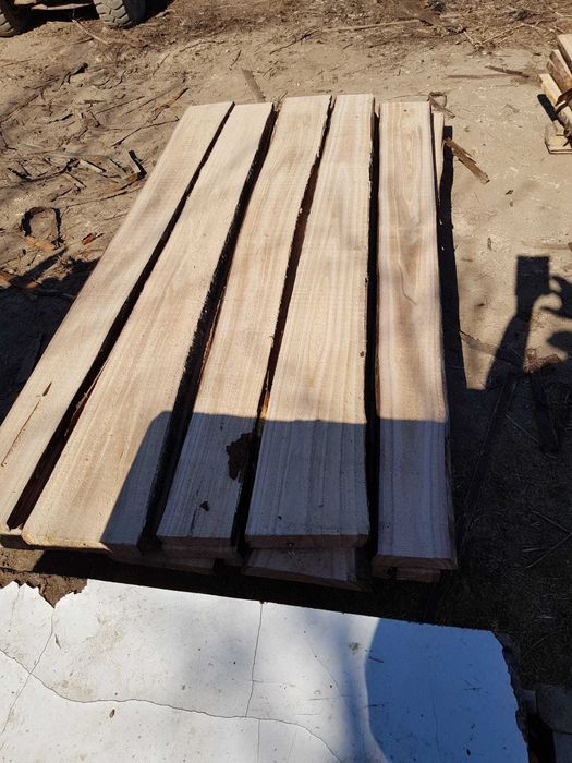 Vand busteni sau cherestea din paulownia