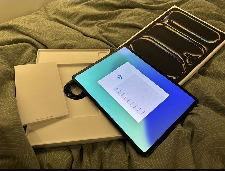 Ipad Pro 13 M4 256gb