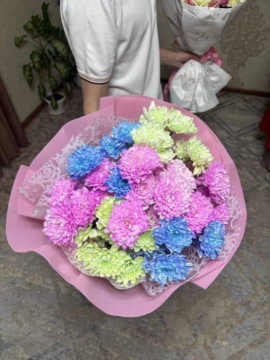 Продам цветы не дорого