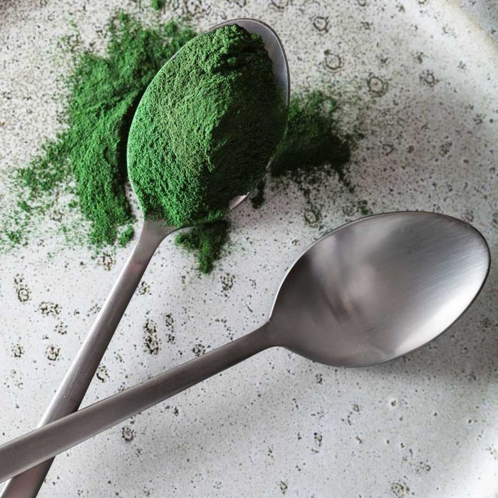 Spirulină pentru peşti - pulbere organică