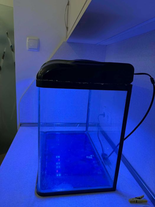 Аквариум RS Electrical RS-500B 50×30×48 см