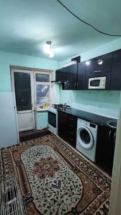 Сампи 1 комнатная