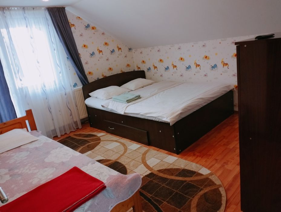 Cabană Valea  Dejani!Liber de revelion!