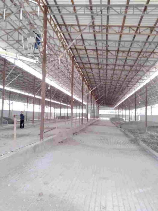 Том Навес Парник курамиз сфатли