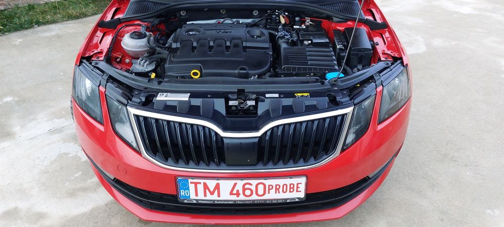 Inmatriculata  RO‼️ Automata & DSG /An 2019 ‼️SKODA OCTAVIA-1.6 Tdi‼️EURO 6B
