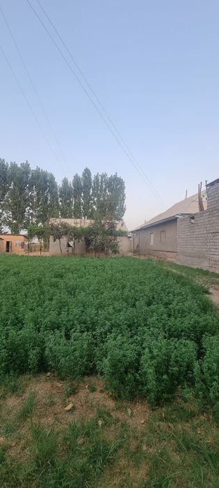 12 сотихли ХОВЛИ сотилади!