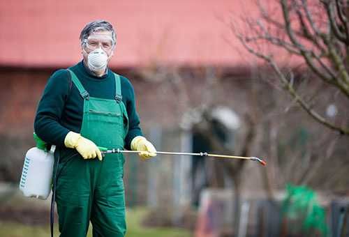 Секаторы разные сучкорезы веткорезы