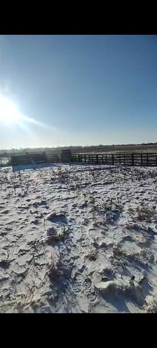 Продам дома в Озерном