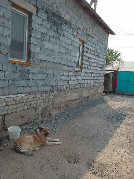 Продам частный дом