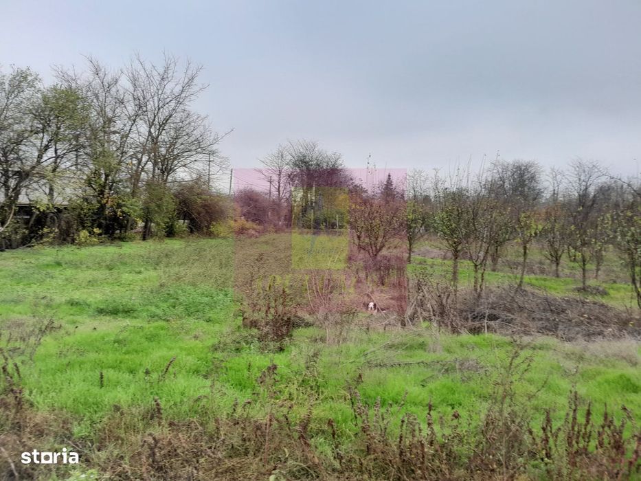 Barcanesti (Il) - Se Vinde Casa + Teren 16K Mp