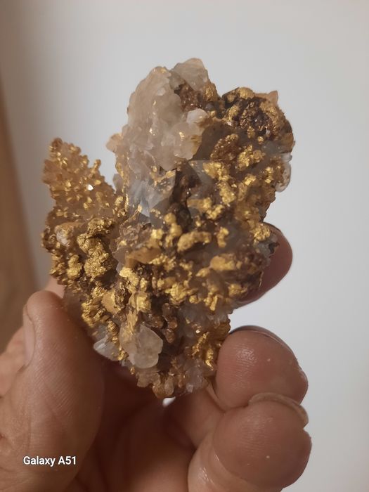 Flori de Mină, mari și mici