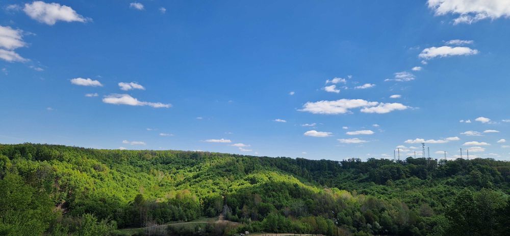 Teren de vis la marginea pădurii – Slătioarele,Babana, Argeș (15 min de Pitești)