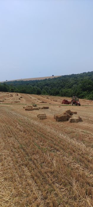 Малки бали слама